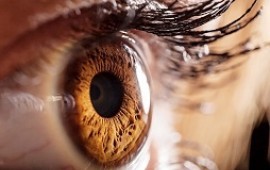 DIAGNOSING GLAUCOMA: Tools and Opportunities