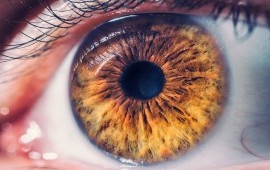 What You Need to Know About Refractive Error