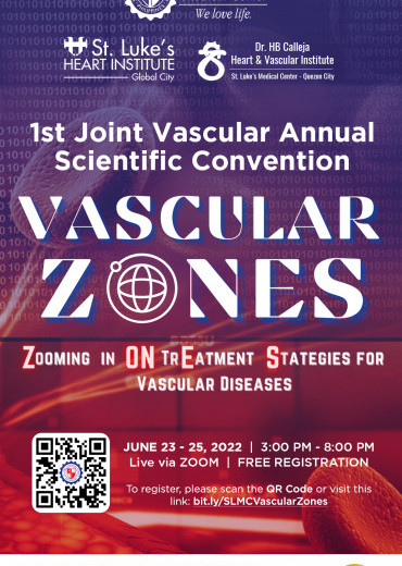Vascular Zones: Zooming in on Treatment Strategies for Vascular Diseases