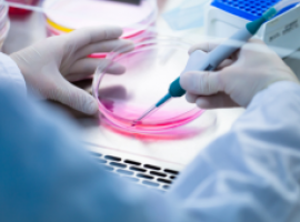 Cell cultures for research in health and medicine Banner