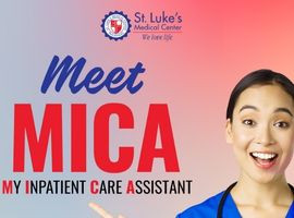 MEET MICA Banner