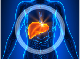 Liver Cancer Awareness Banner